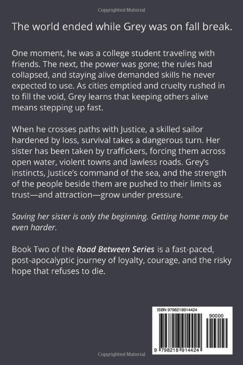 No Easy Way Home: The Road Between Series - Two