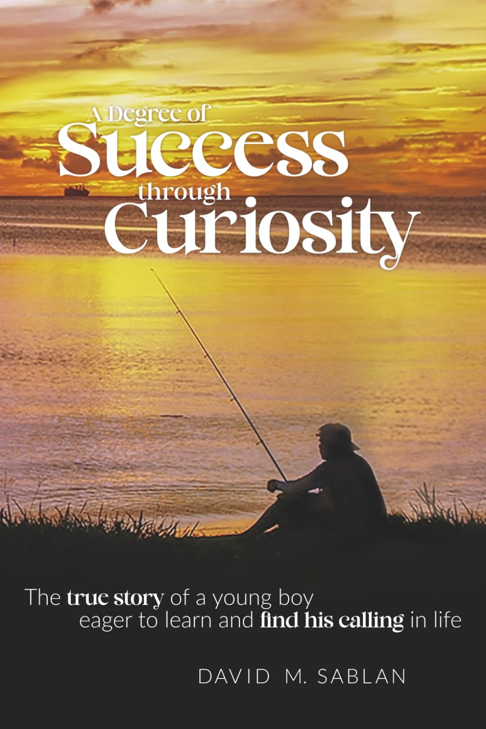 A Degree of Success through Curiosity: The true story of a young boy eager to learn and find his calling in life