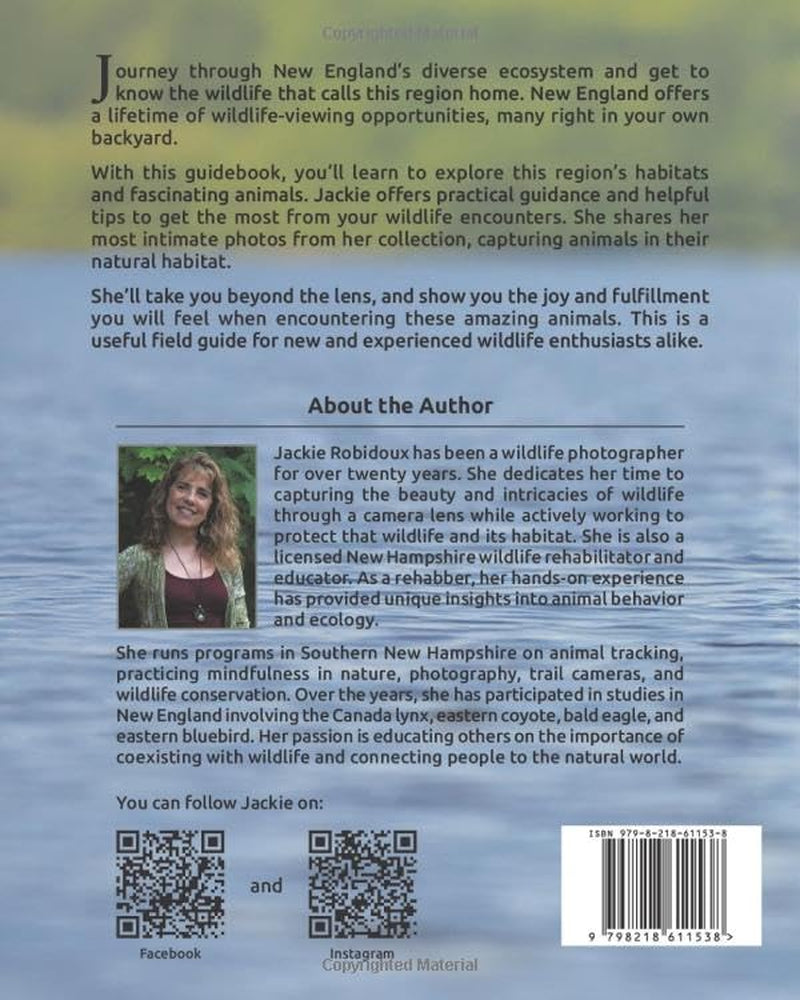 Discover New England Wildlife: A Guide to Finding and Observing Animals in Their Habitat