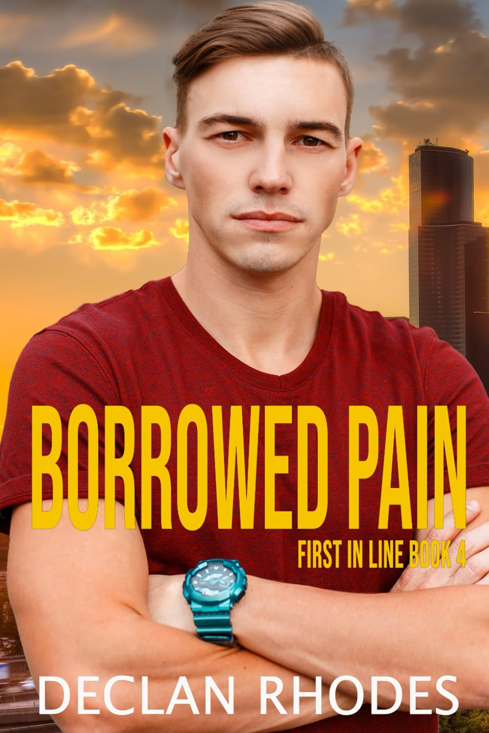 Borrowed Pain: MM Romantic Suspense (First in Line)