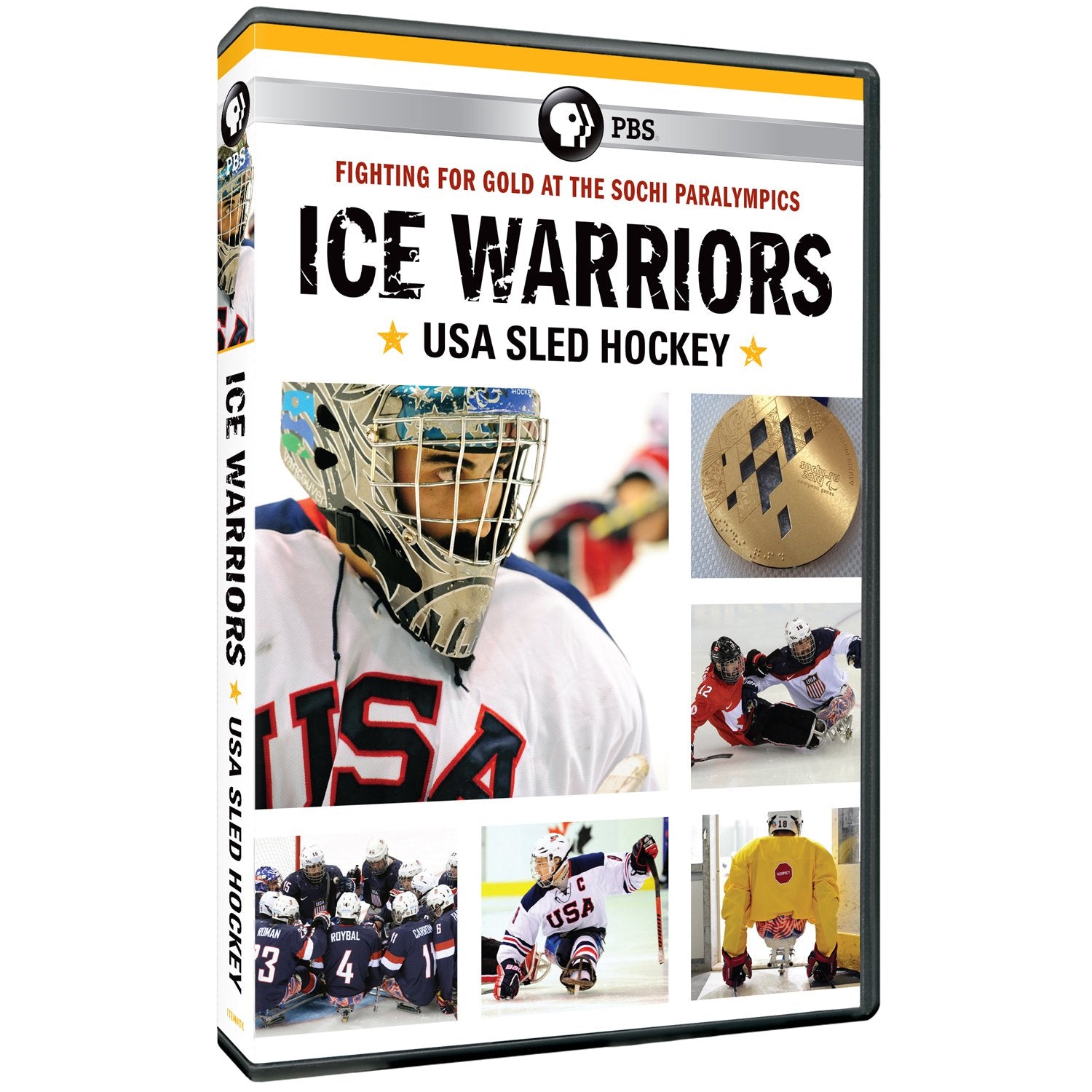 Ice Warriors: USA Sled Hockey