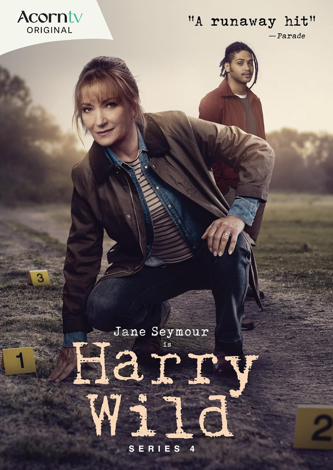 Harry Wild - Series 4 [DVD]