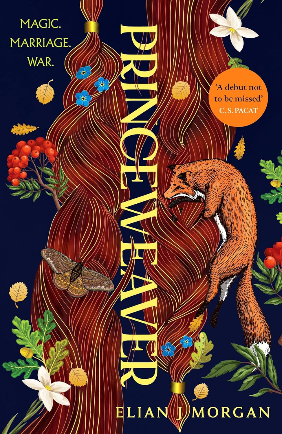 Princeweaver: The epic must-read slow-burn queer fantasy romance (Land of the Wildest Skies)