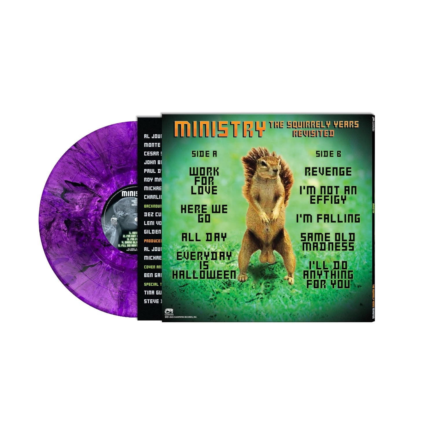 THE SQUIRRELY YEARS REVISITED PURPLE MARBLE