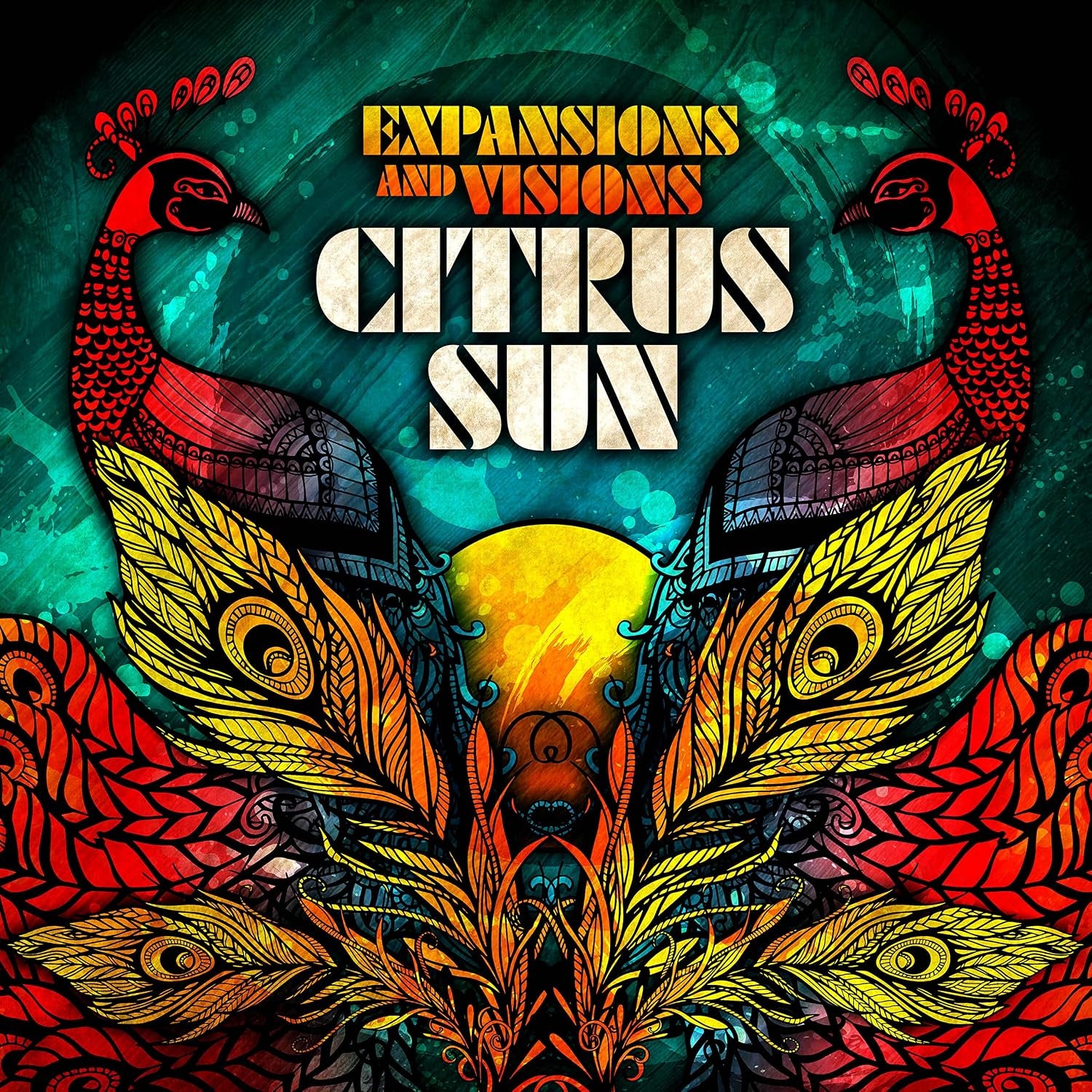 Expansions & Visions