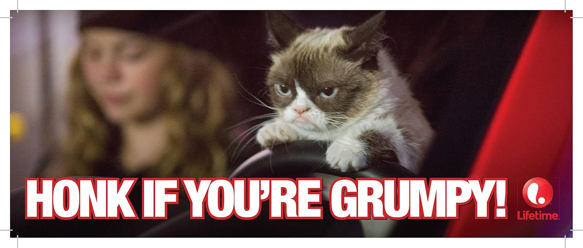 Grumpy Cat's Worst Christmas Ever / Various