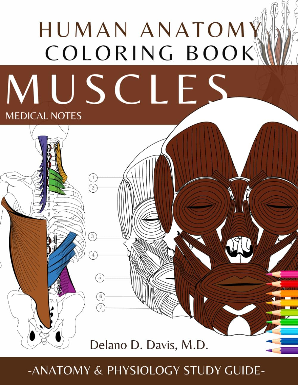 Human Anatomy Coloring Book: Muscles. Medical Notes | Detailed Musculoskeletal Illustrations |: Musculoskeletal Anatomy and Physiology Coloring Study Workbook.