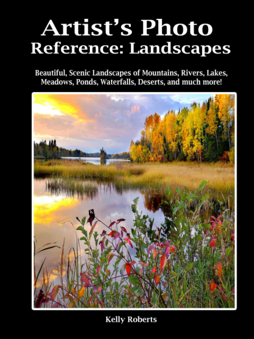 Artist's Photo Reference: Landscapes: Beautiful, Scenic Landscapes of Mountains, Rivers, Lakes, Meadows, Ponds, Waterfalls, Deserts, and much more! (Paint & Draw Reference Photos)