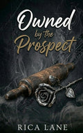 Owned by the Prospect: A Protective Hero Secret Past Obsessive MC Romance (Broken Halos Motorcycle Club)