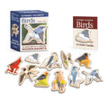 Extremely Accurate Birds Wooden Magnet Set: 10 Anatomically Precise Magnets (RP Minis)
