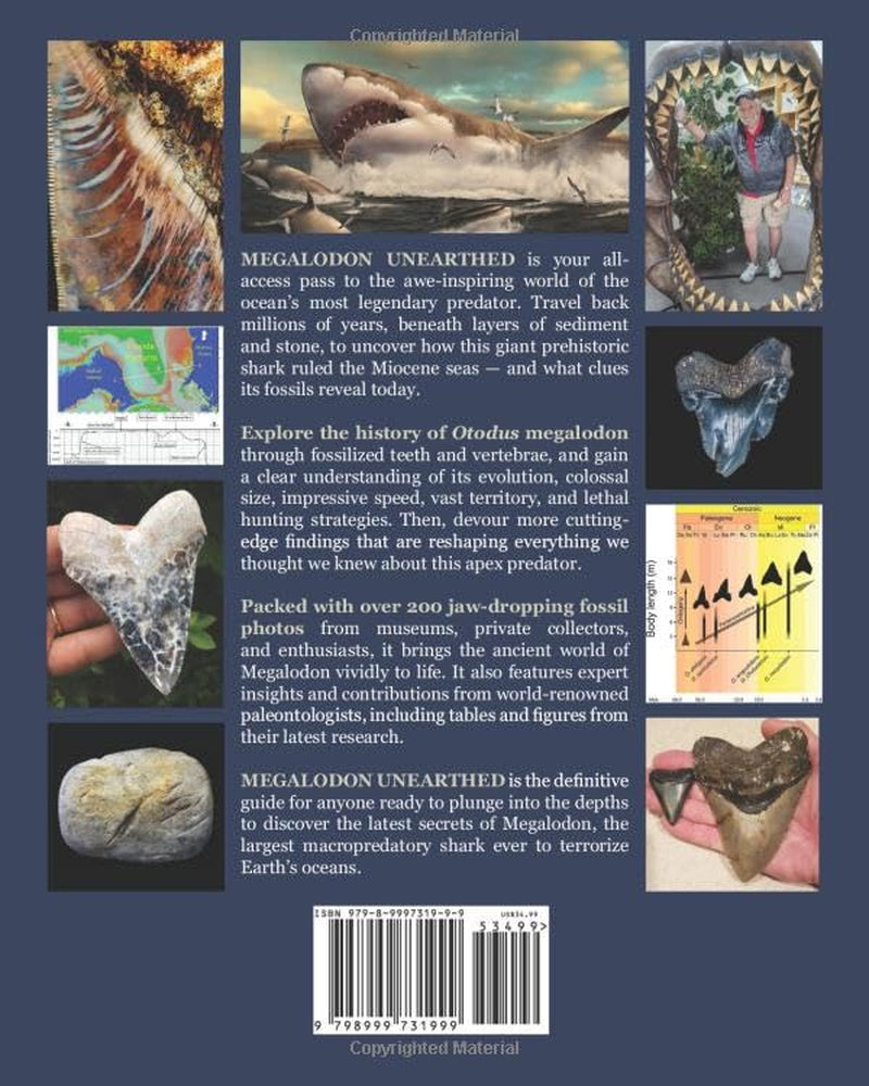 MEGALODON UNEARTHED: Unlocking the Secrets behind the Ultimate Prehistoric Shark