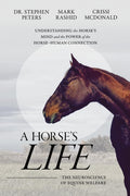 A Horse's Life: The Neuroscience of Equine Welfare