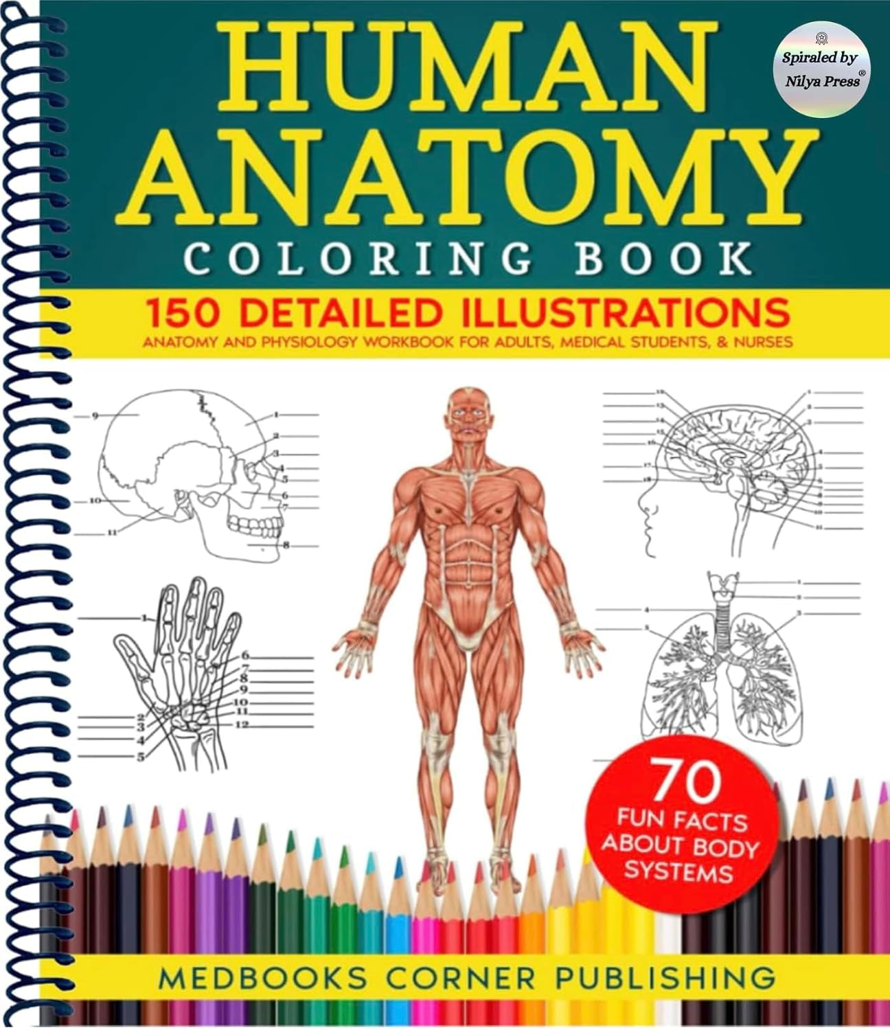 Human Anatomy Coloring Book: 150 Detailed Illustrations & 70 Fascinating Facts in an Anatomy and Physiology Workbook for Adults, Medical Students, & Nurses Focused on Advanced Body Systems Learning