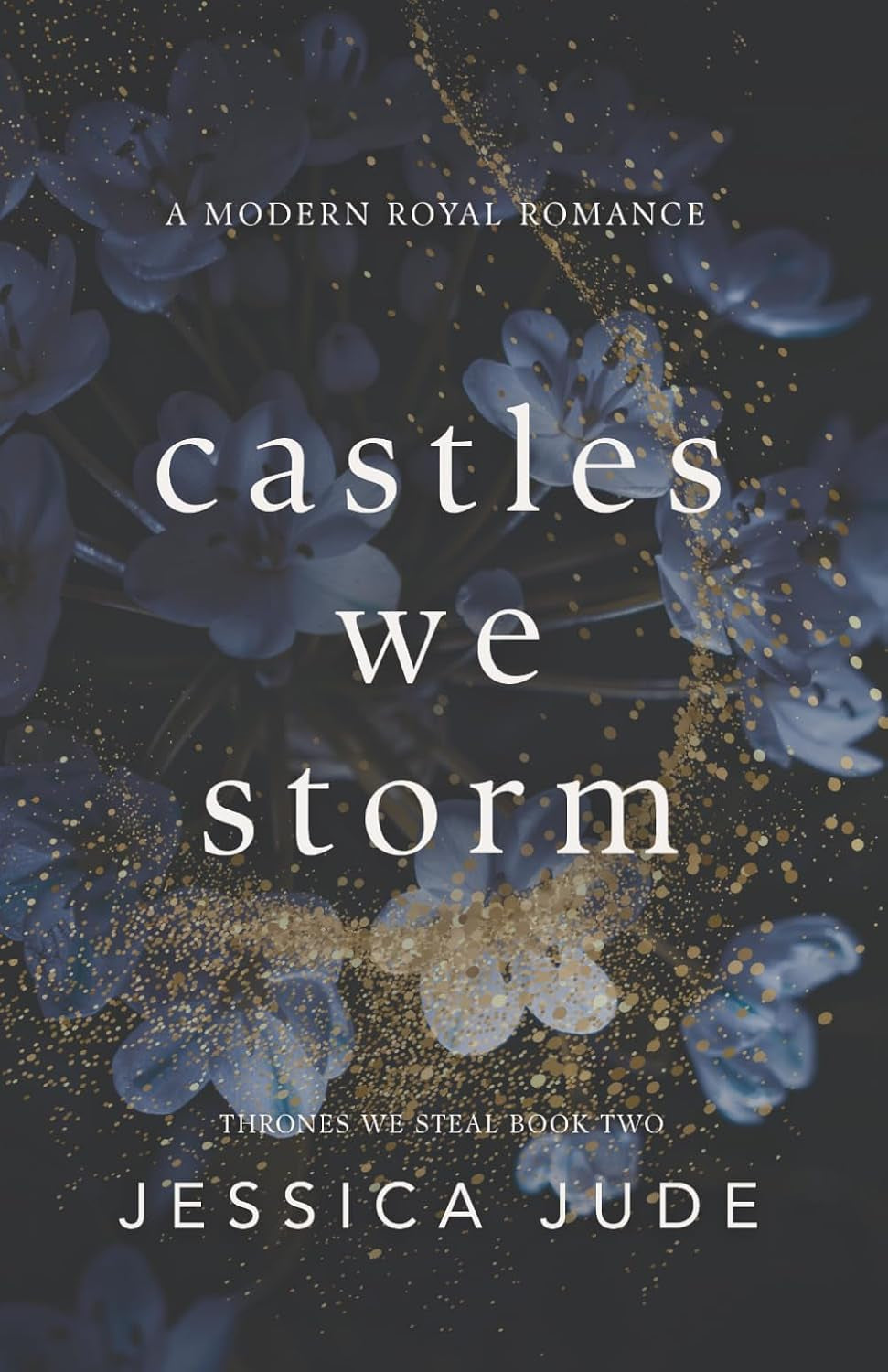 Castles We Storm: A Forced Proximity Billionaire x Royal Romance (Thrones We Steal)