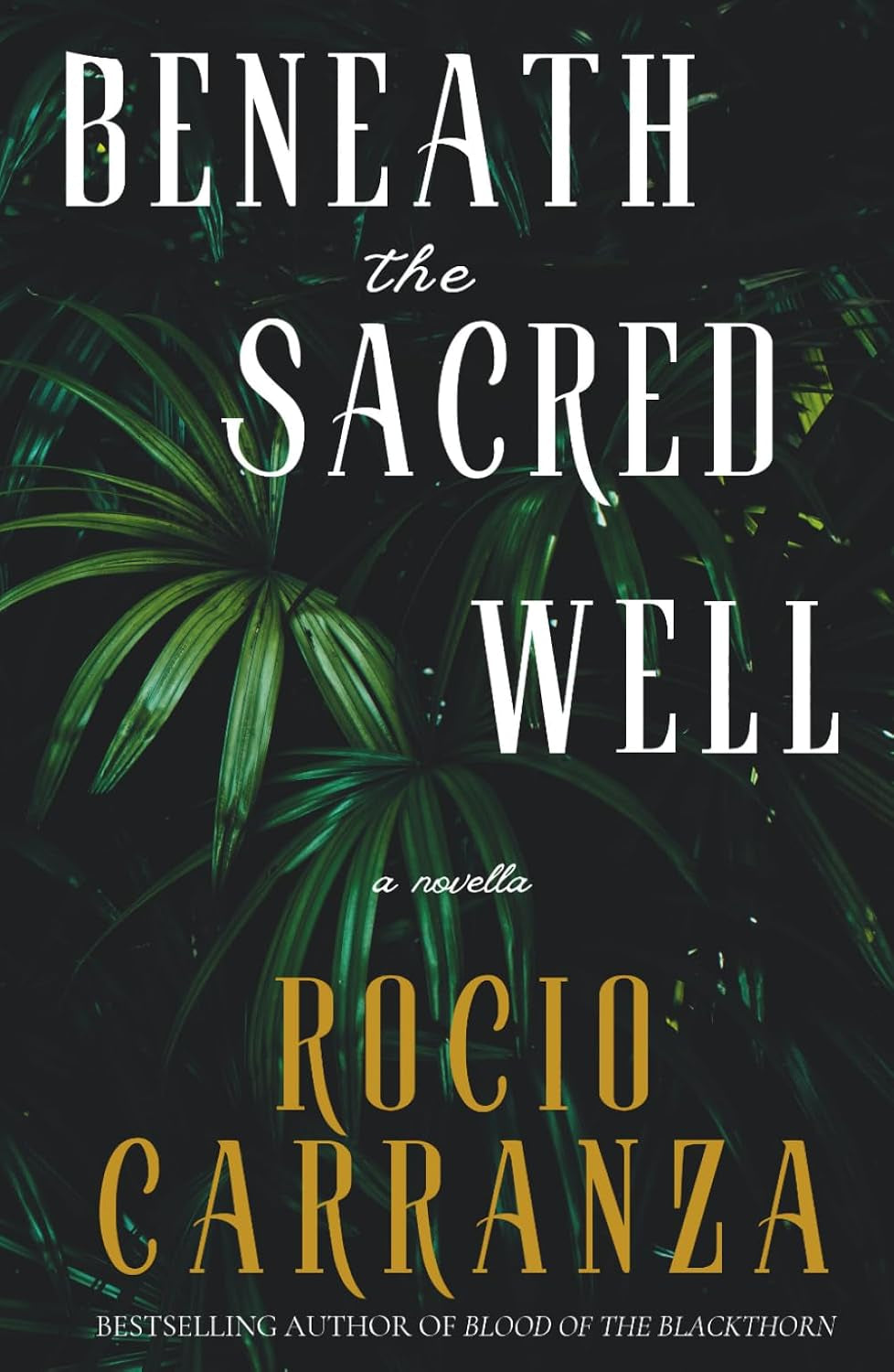 Beneath the Sacred Well