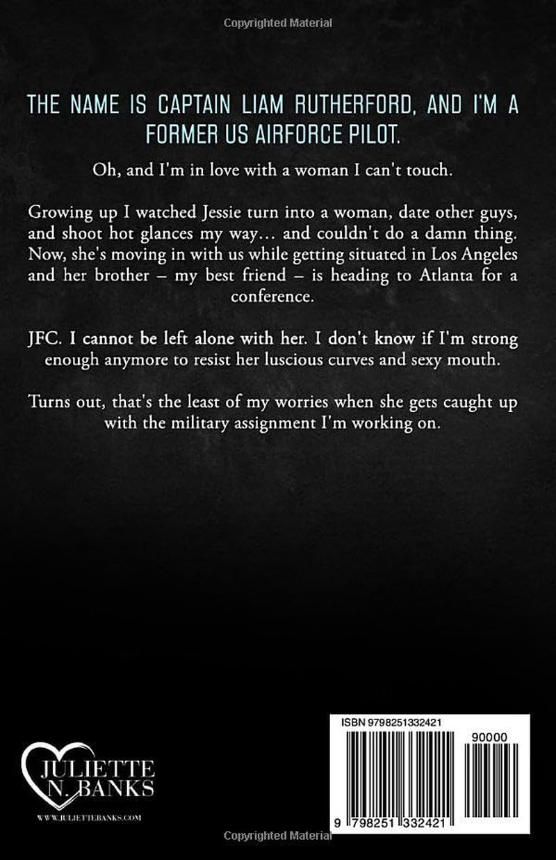 The Pilot: Steamy Military Romance (Black Hawke Security)