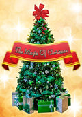 Magic of Christmas