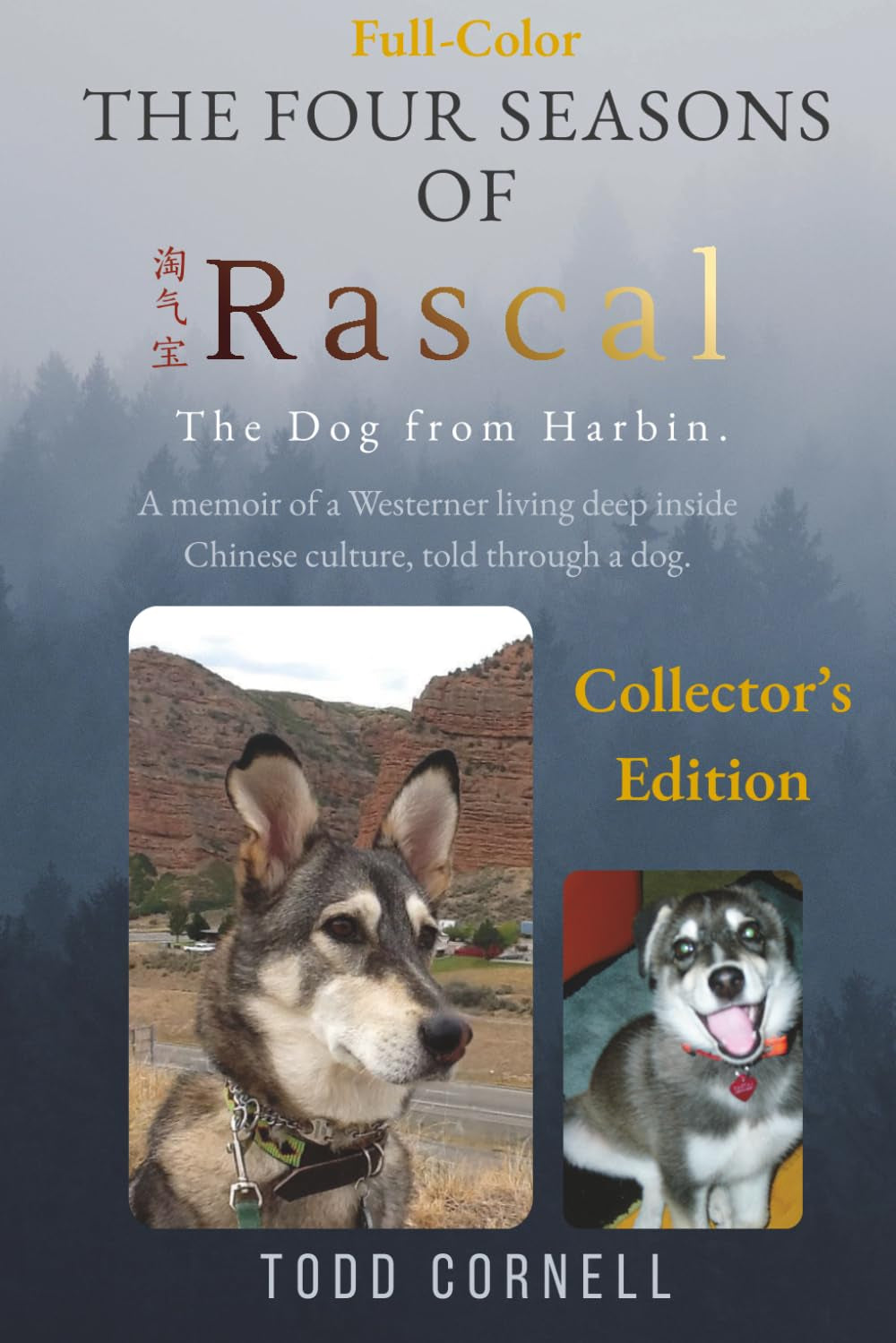 The Four Seasons Of Rascal: The Dog From Harbin