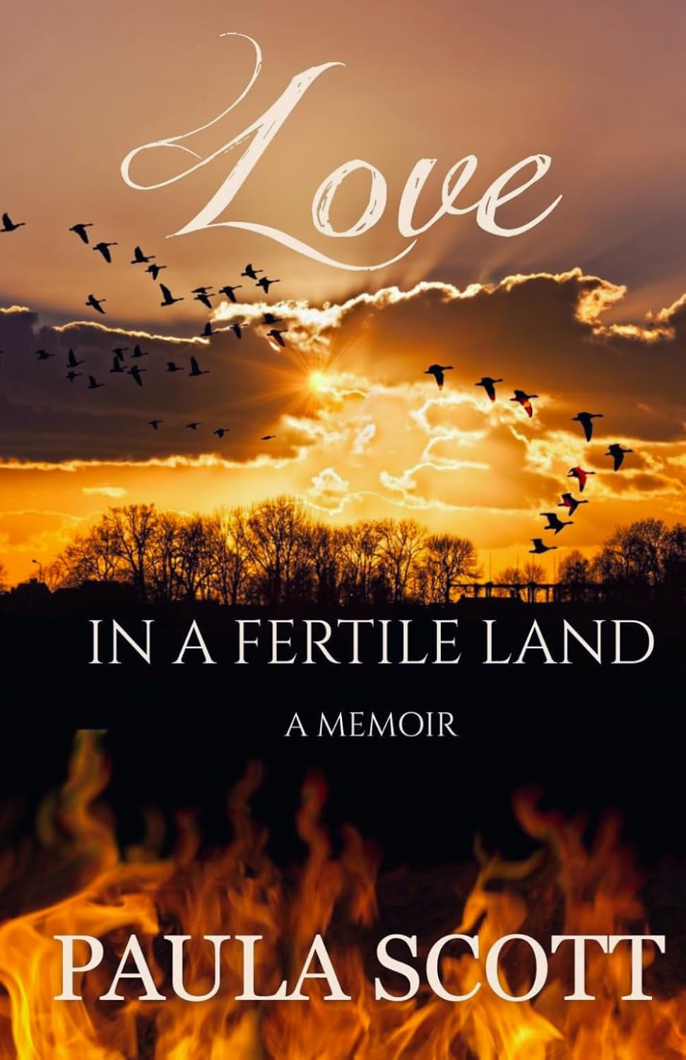 Love in a Fertile Land: A Memoir