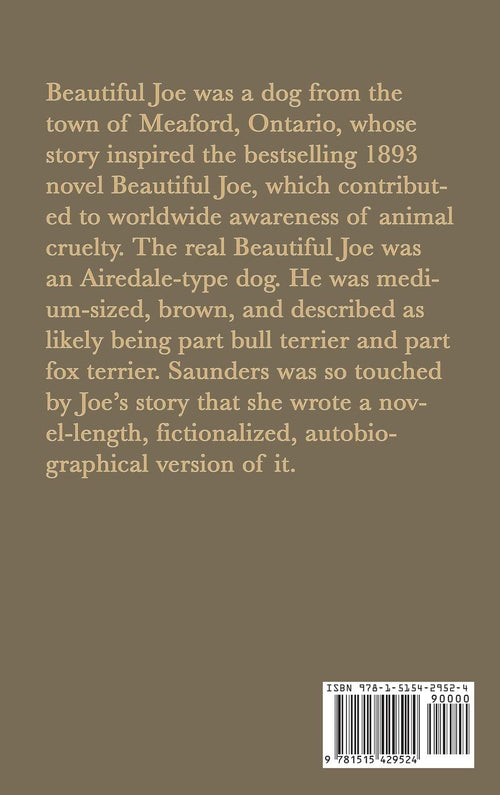 Beautiful Joe