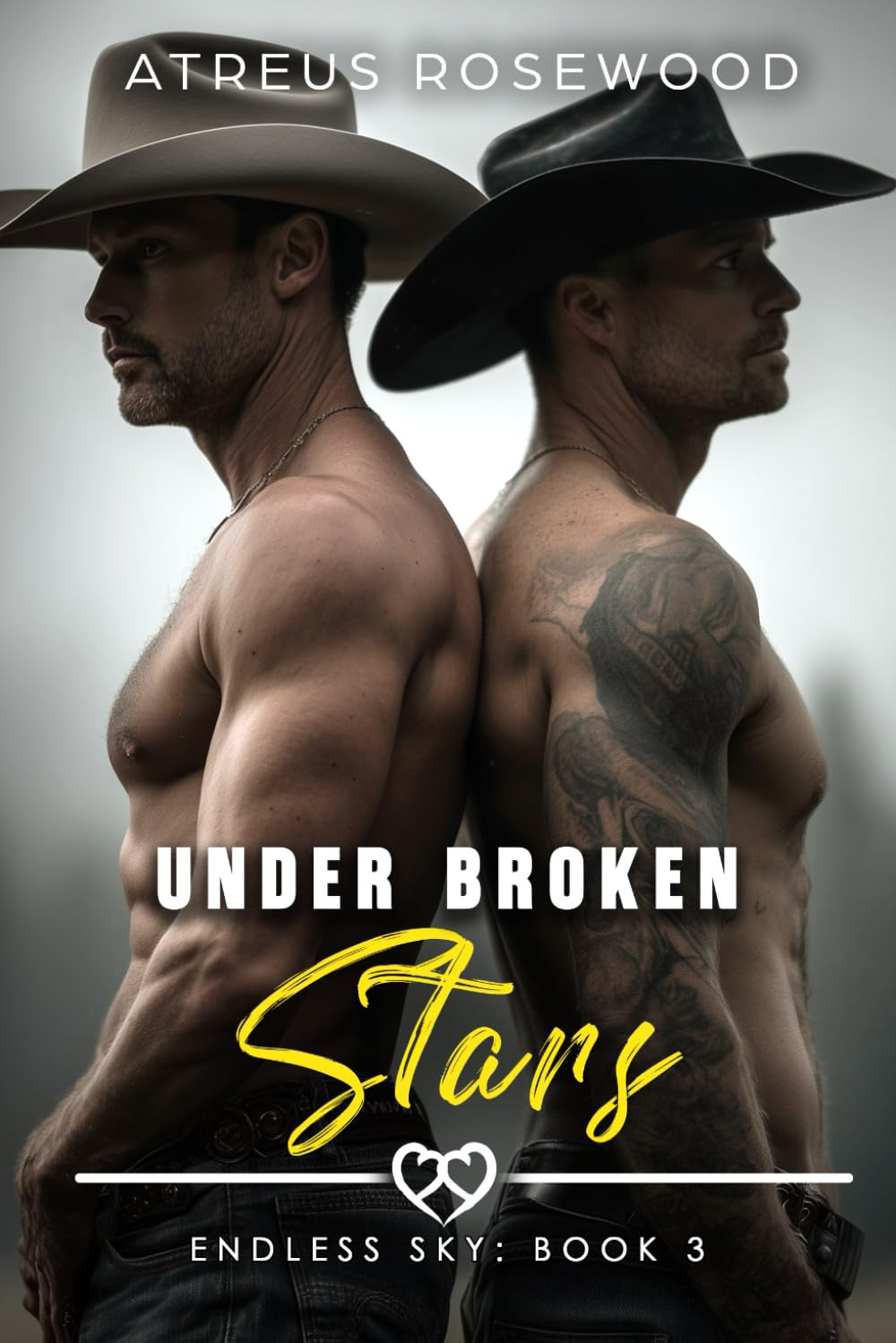 Under Broken Stars: A MM Forced Marriage Mafia Cowboy Romance (Endless Sky Cowboys)