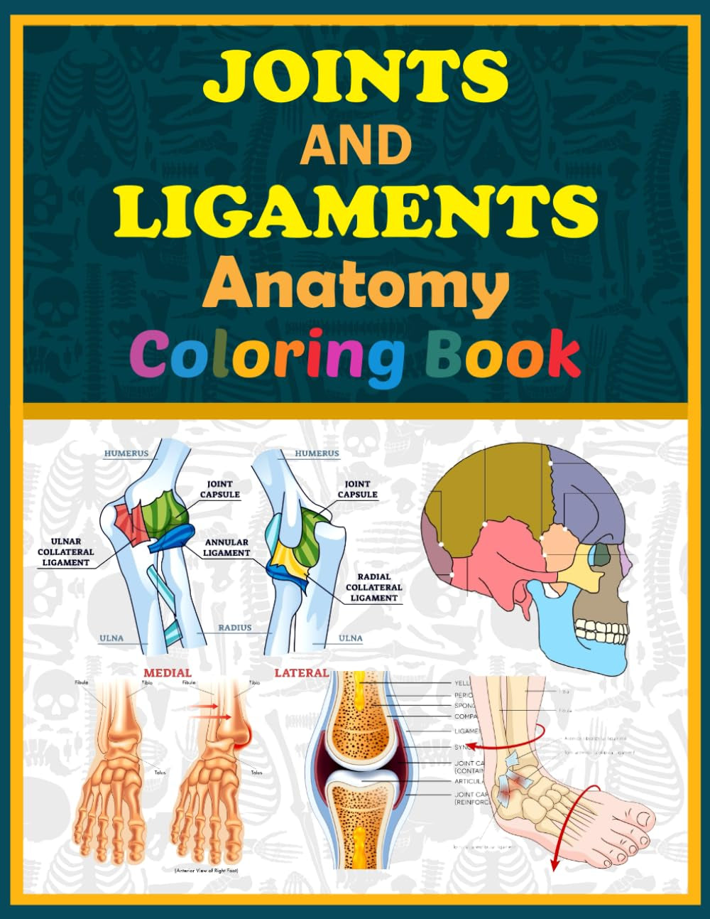 Joints And Ligaments Anatomy Coloring Book: This Will Be Great For Learning Joints And Ligaments Anatomy In Detail. It Will Work As A Helper For Medical Students And Professionals.