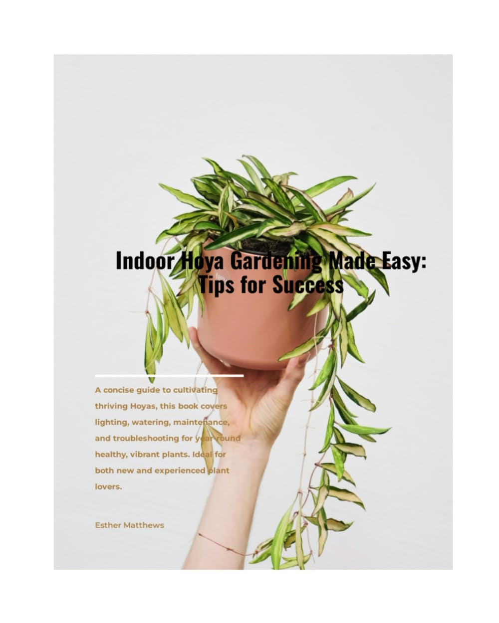 Indoor Hoya Gardening Made Easy: Tips for Success