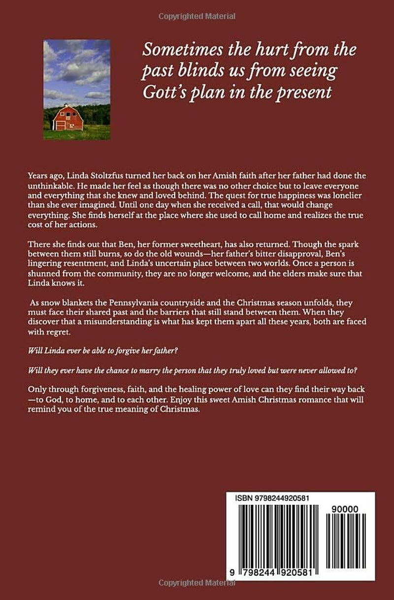Gott's Special Plan This Christmas (Amish Tales of Love this Christmas)