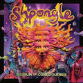 Museum Of Consciousness[2 LP]