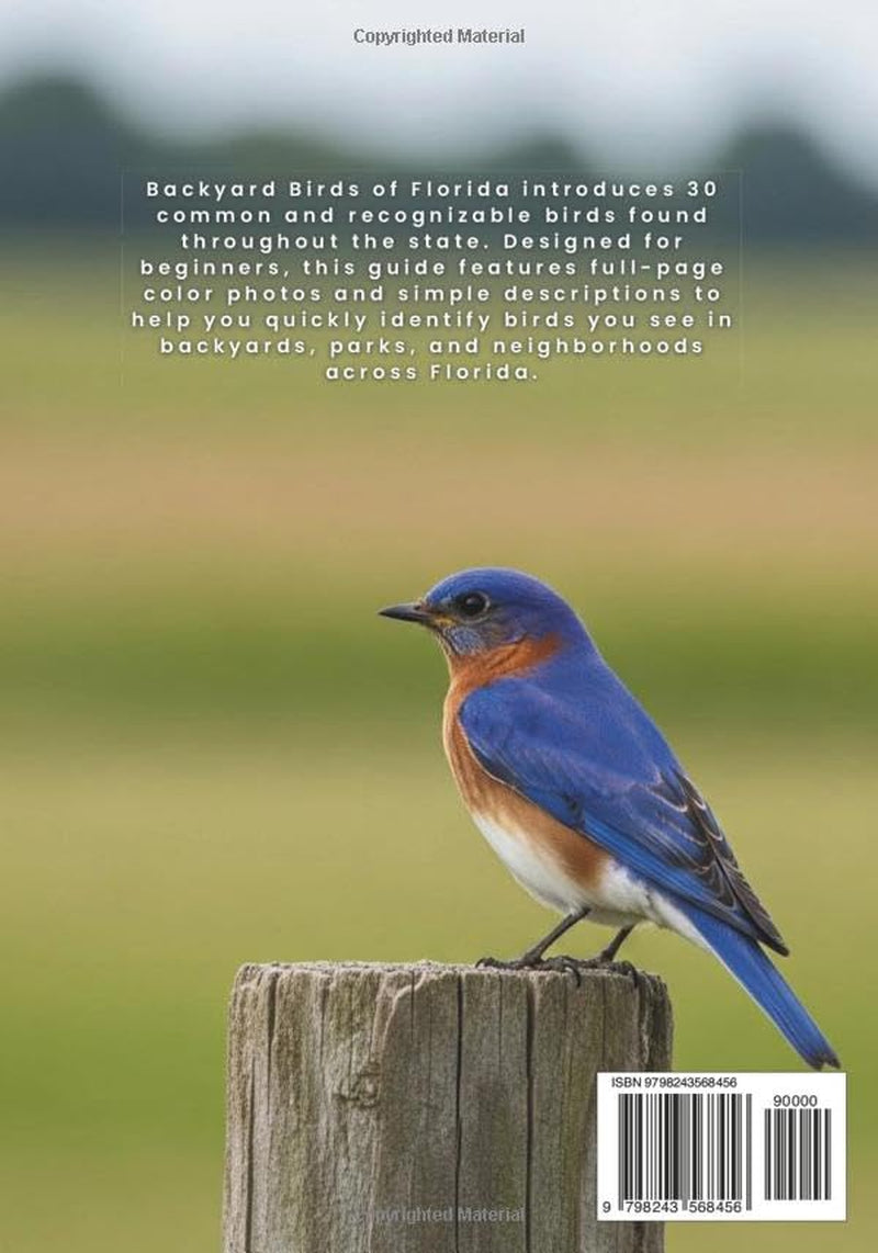 Backyard Birds of Florida: A Beginner-Friendly Guide to Common Birds with Color Photos