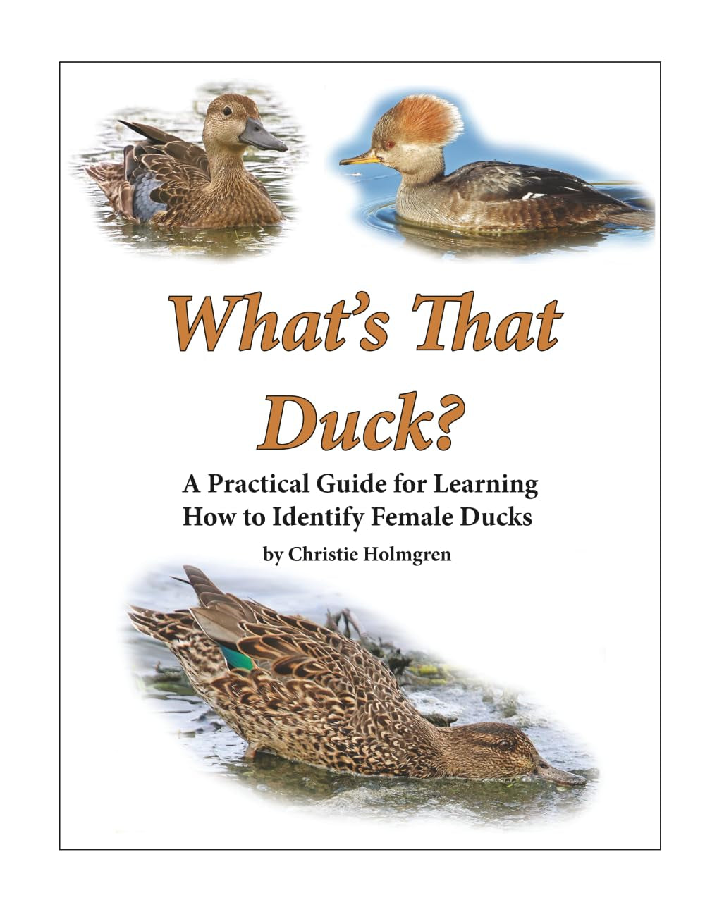 What's That Duck?: A Practical Guide for Learning How to Identify Female Ducks