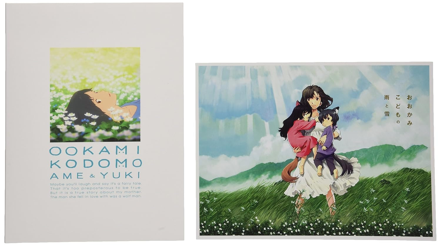Anime - Ookami Kodomo No Ame To Yuki (2DVDS) [Japan LTD DVD] VPBT-13736