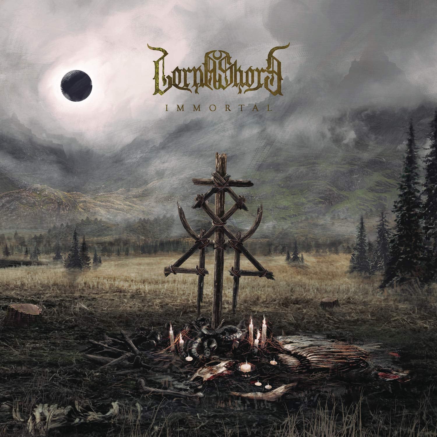 Immortal black