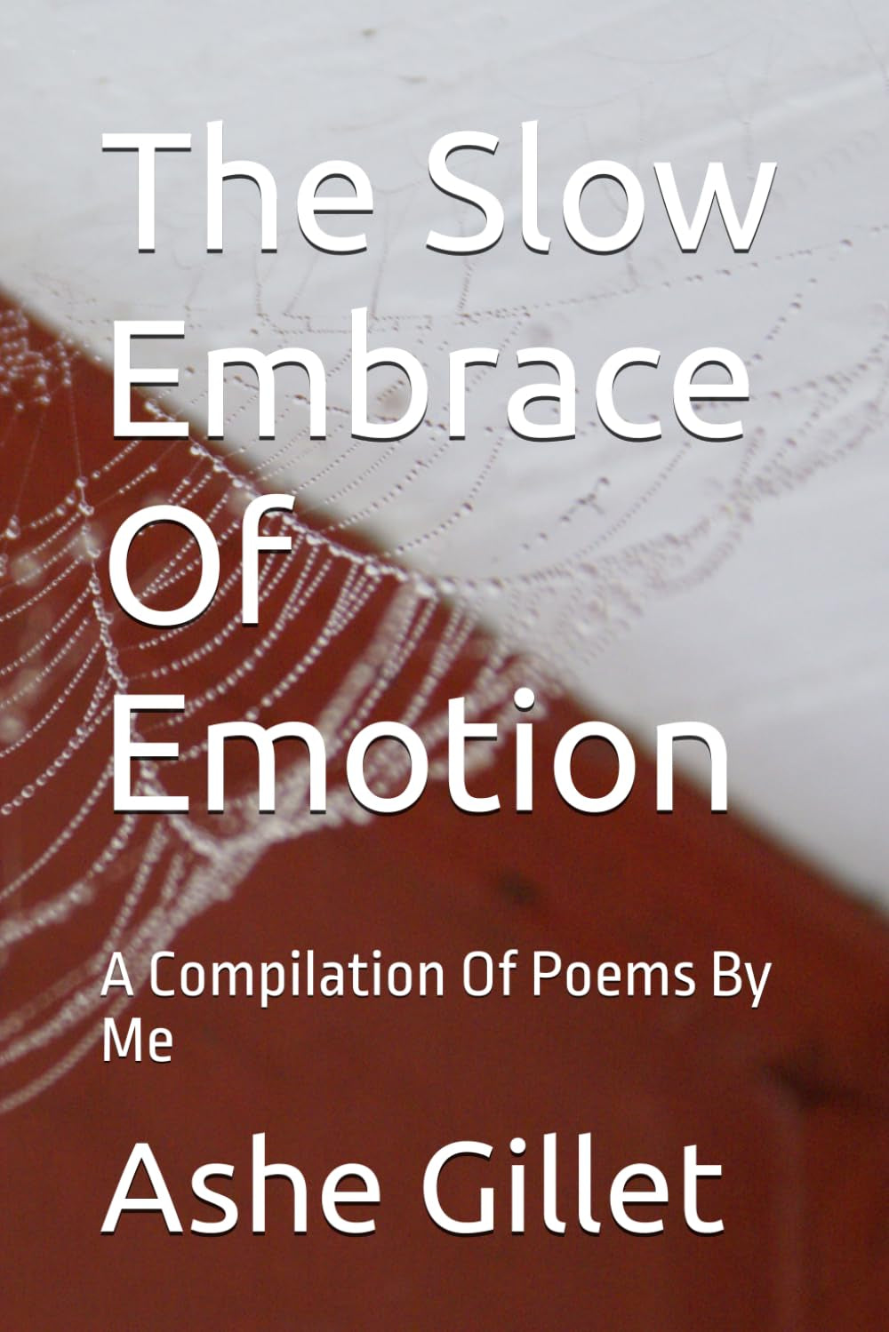 The Slow Embrace Of Emotion: A Compilation Of Poems By Me