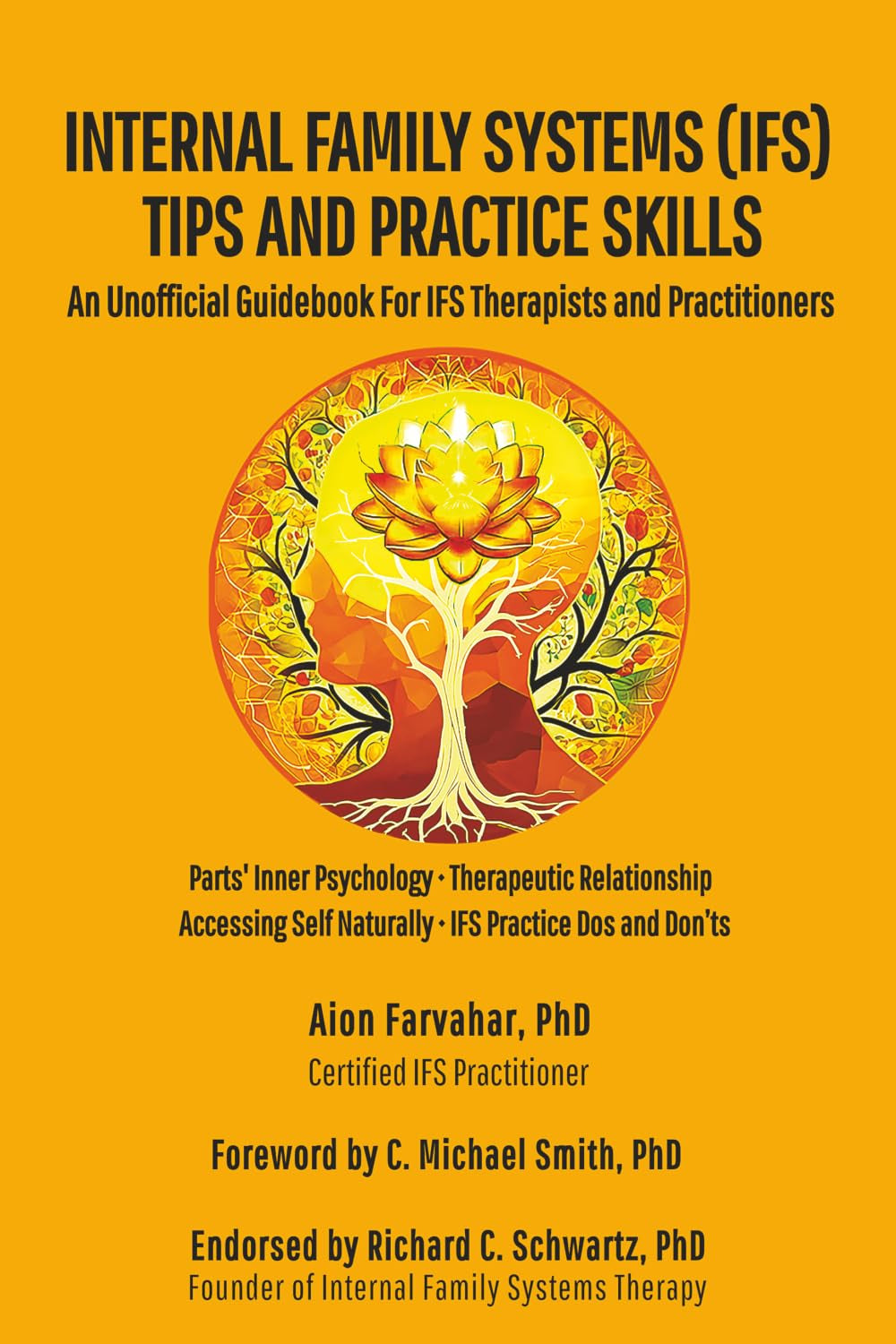 Internal Family Systems (IFS) Tips and Practice Skills: An Unofficial Guidebook for IFS Therapists and Practitioners