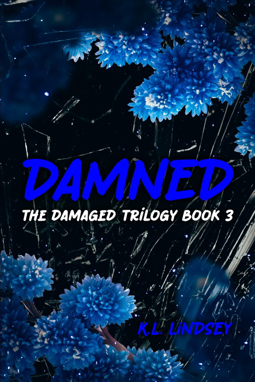 DAMNED (The Damaged Trilogy)