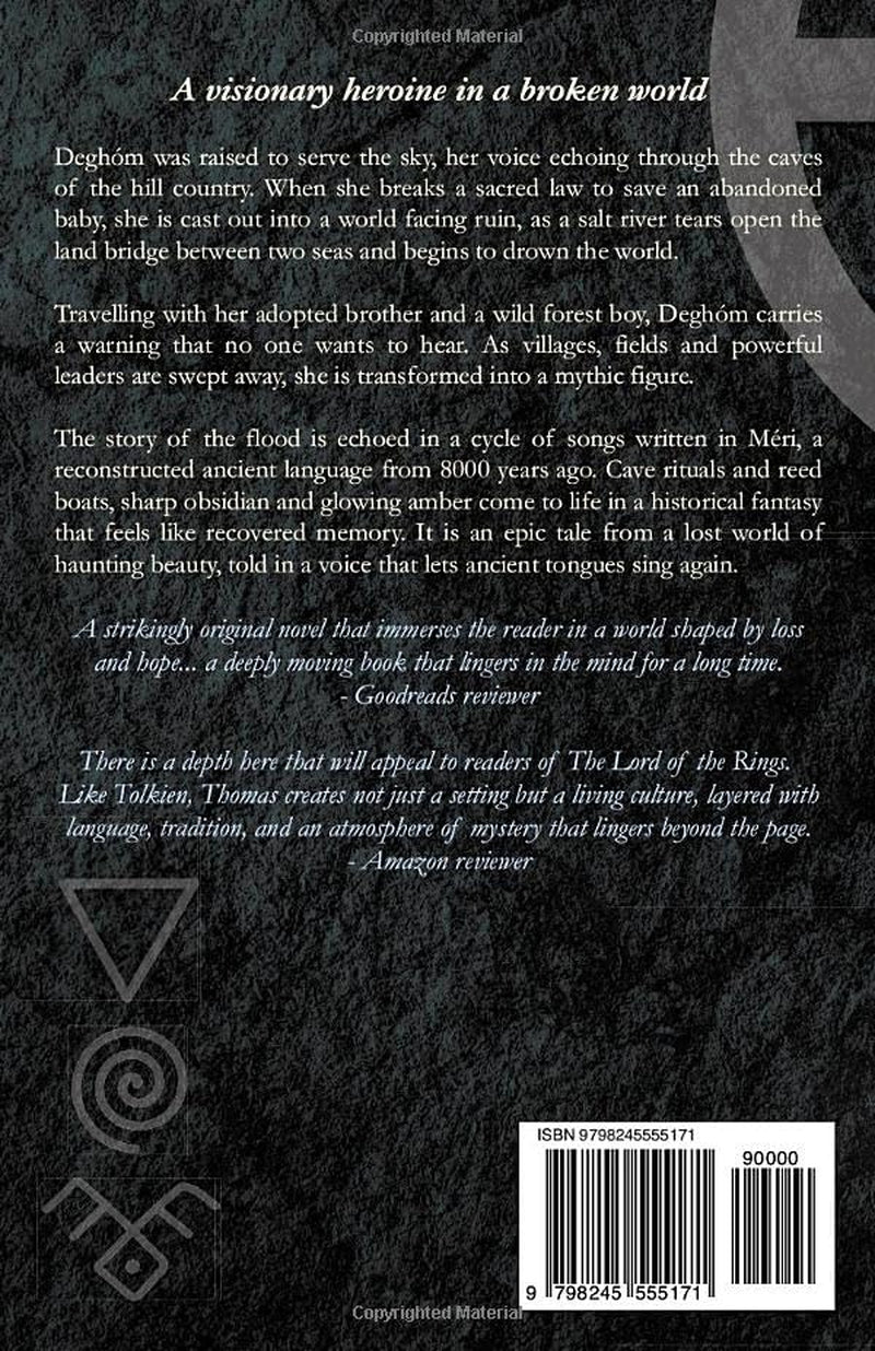 In the Day of the Flood: Book One of the Four Lights Cycle