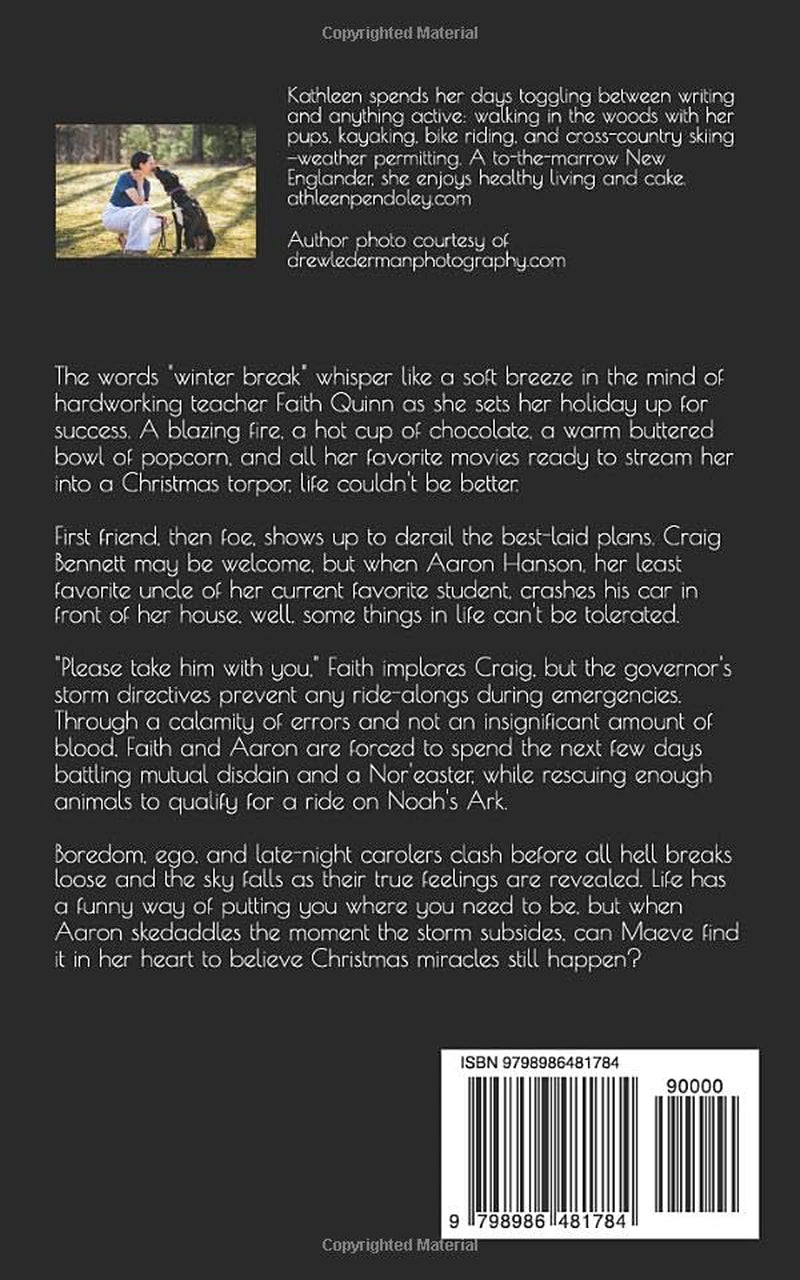 O Holy Heck!: Stranded for Christmas