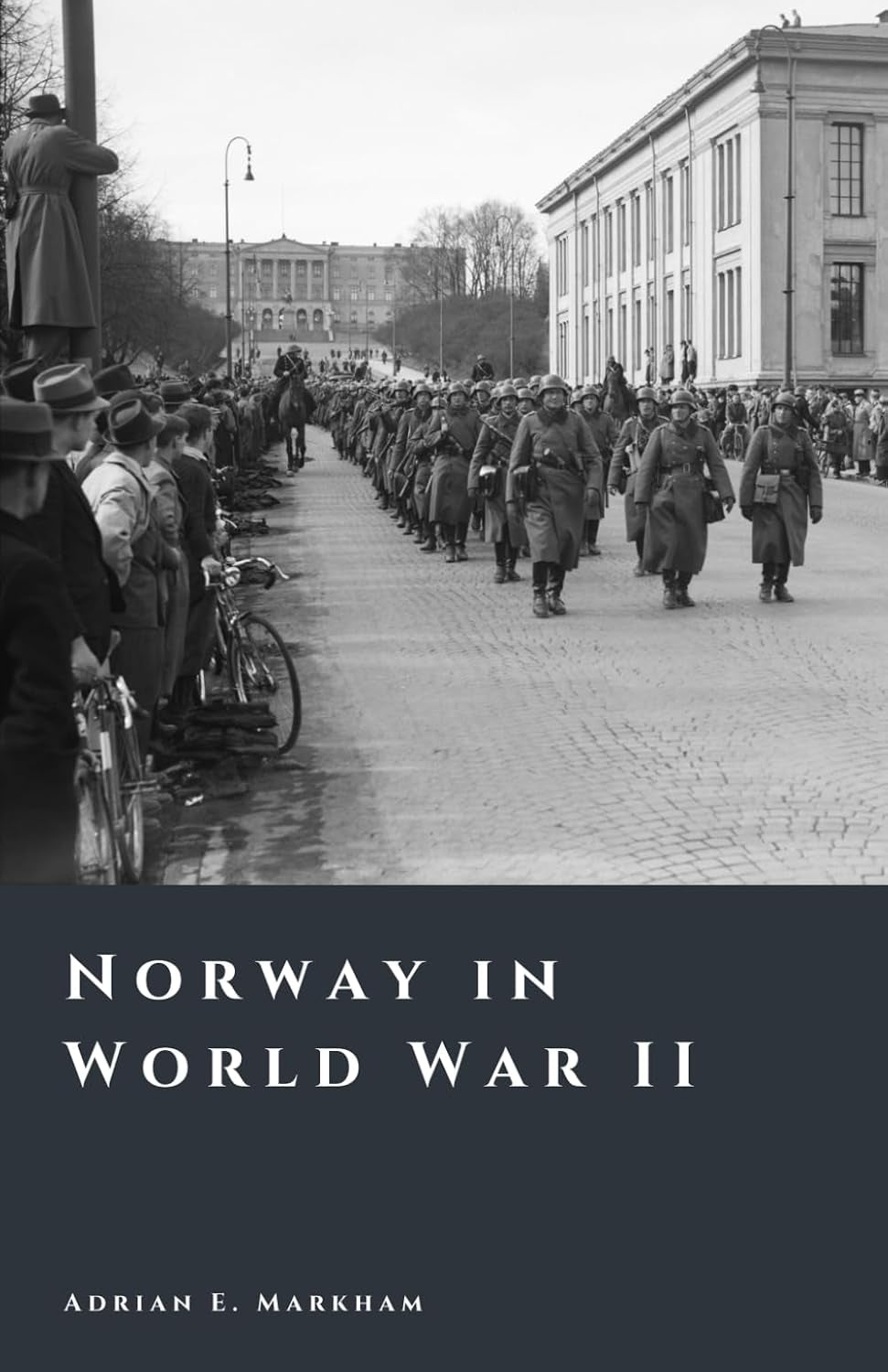 Norway in World War II: Occupation, Resistance, and Survival (The Story of Norway)
