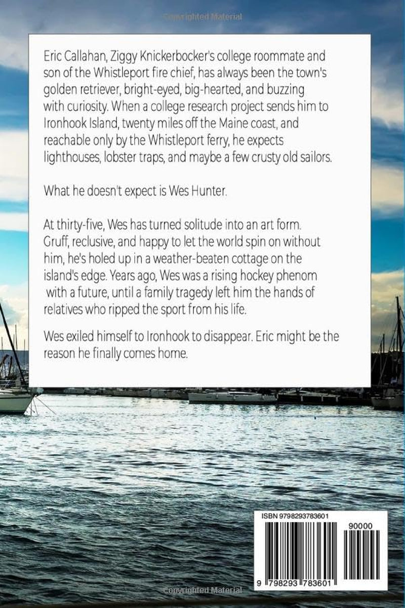 Hometown Harbor: A MM Grumpy / Sunshine Hockey Romance (Whistleport Hockey)