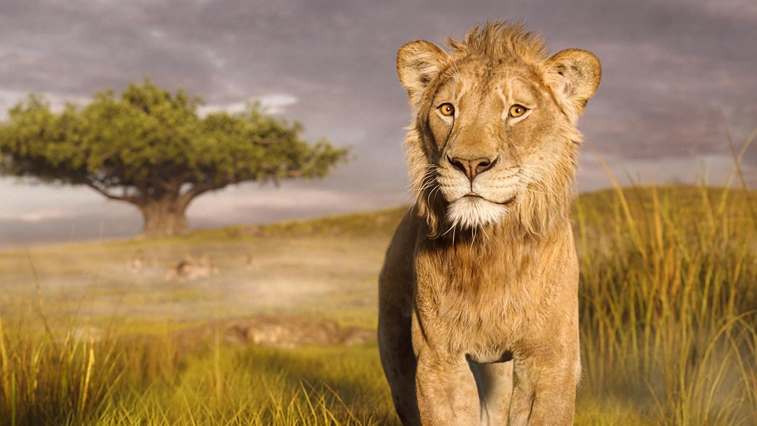 Mufasa: The Lion King - 4K + Blu-ray