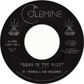 Sunk In The Mist