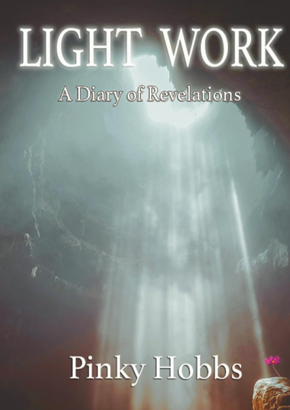 Light Work: A Diary of Revelations