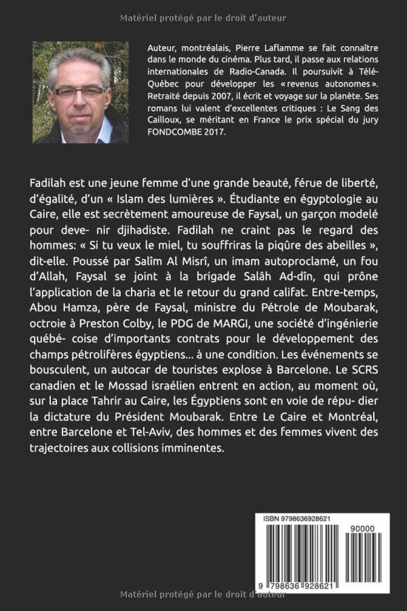 LE SANG DES CAILLOUX (French Edition)