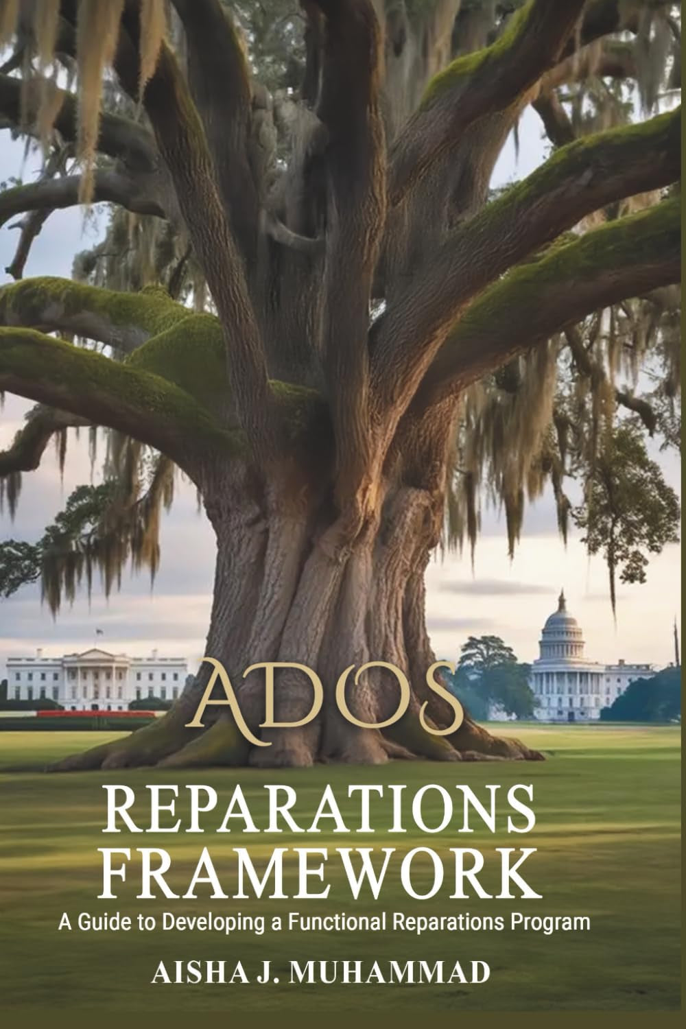 ADOS Reparations Framework: A Guide to Developing a Functional Reparations Program