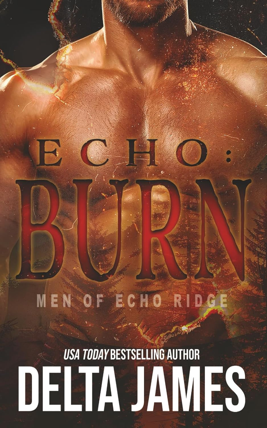 Echo: Burn: A Military Romantic Suspense (Men of Echo Ridge)