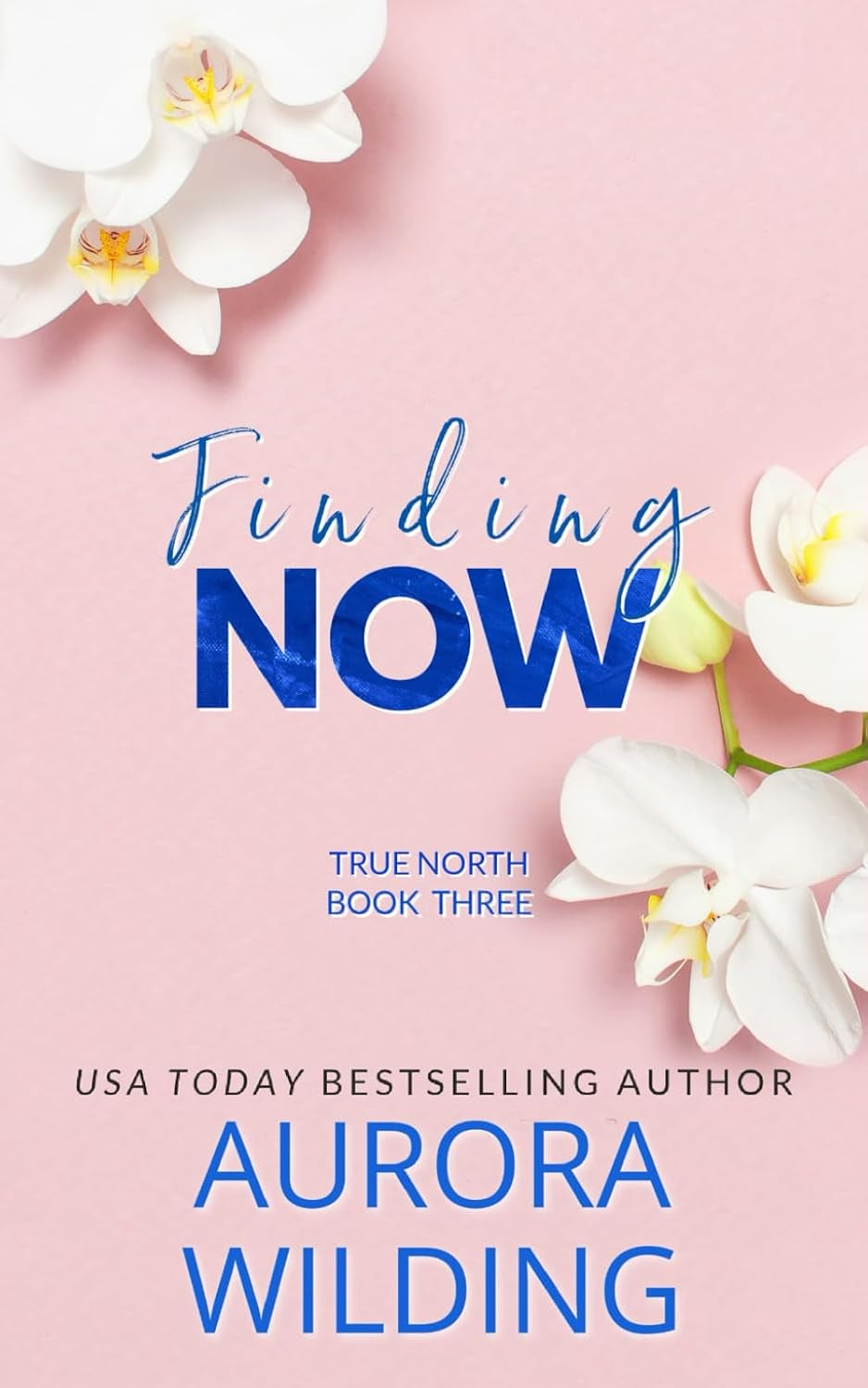 Finding Now (True North Book 3): A Reverse Age Gap, Professor/Student, Rockstar Romance