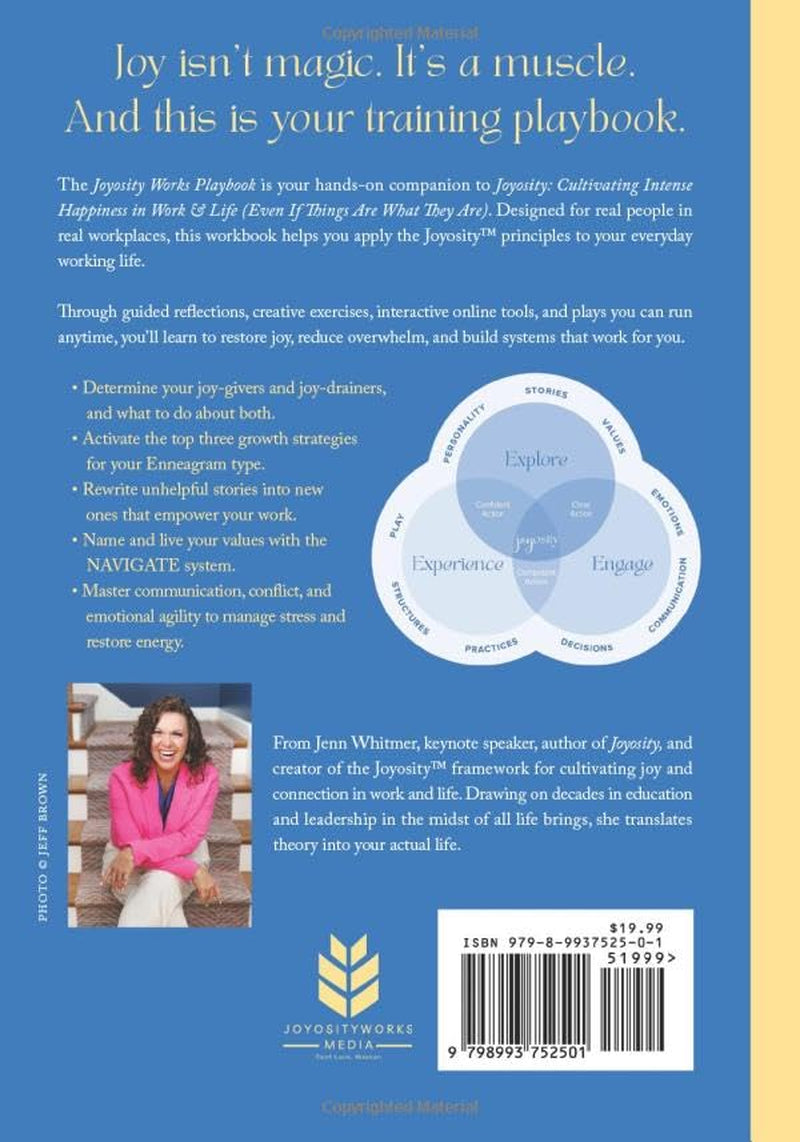 Joyosity Works Playbook: Practical Plays and Strategies for Joy at Work and Beyond