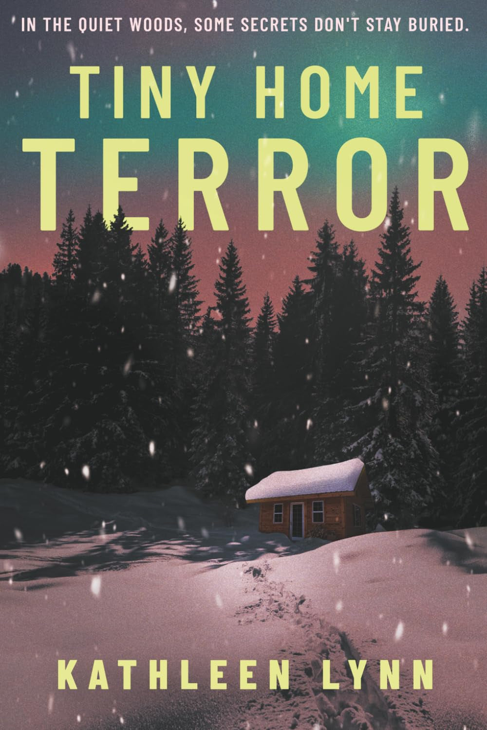 Tiny Home Terror (The Janet Hardy Suspense)