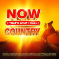 Now That's What I Call Country / Various